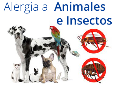 Alergia a animales e insectos