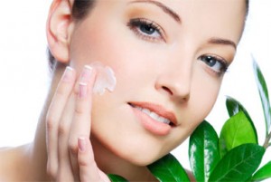 Sector Cosmeticos y Productos de Higiene